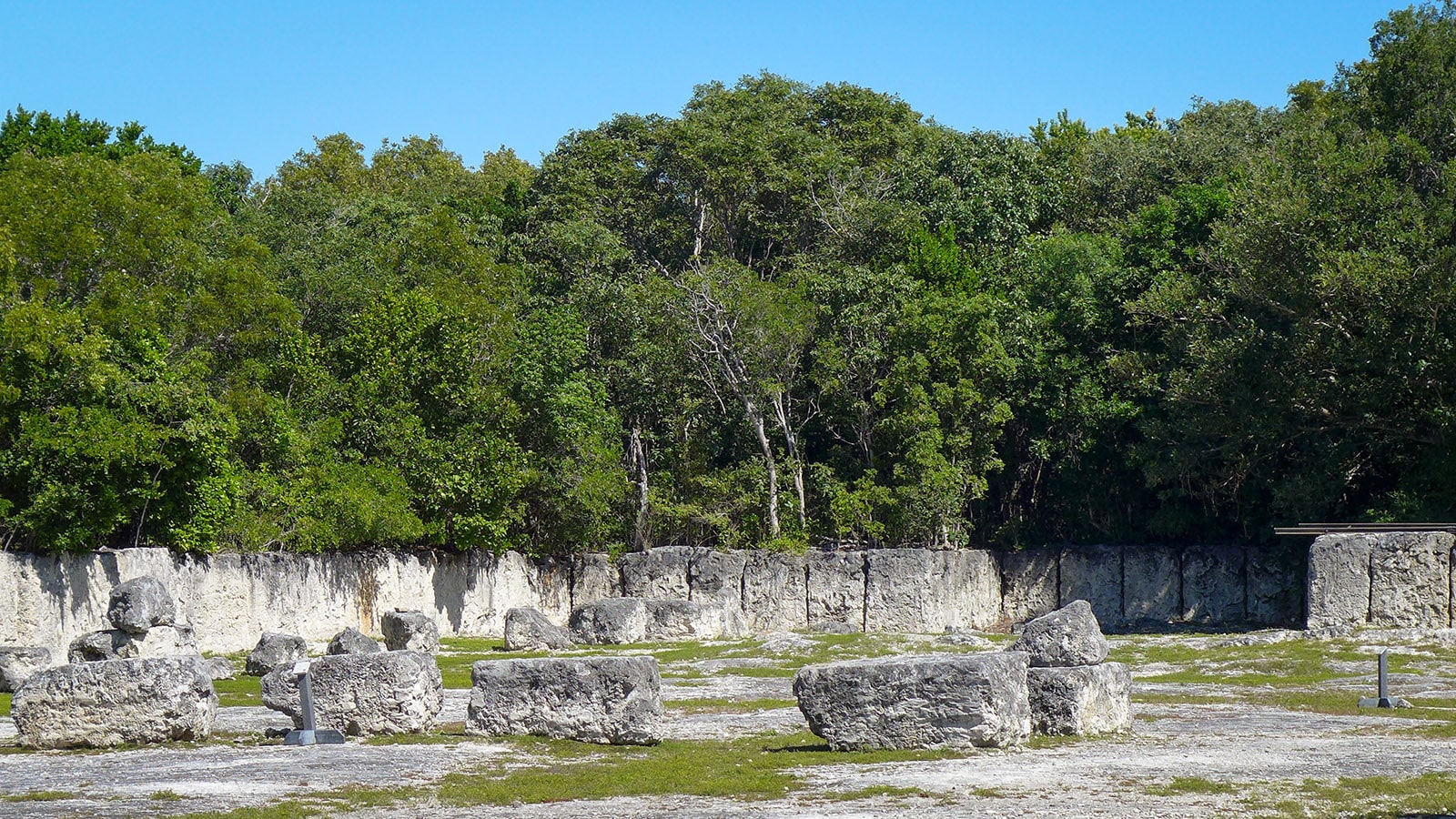 Windley Key Fossil Reef Geological State Park: A tropical hardwood hammock atop a fossilized coral reef provides an unusual cactus habitat.